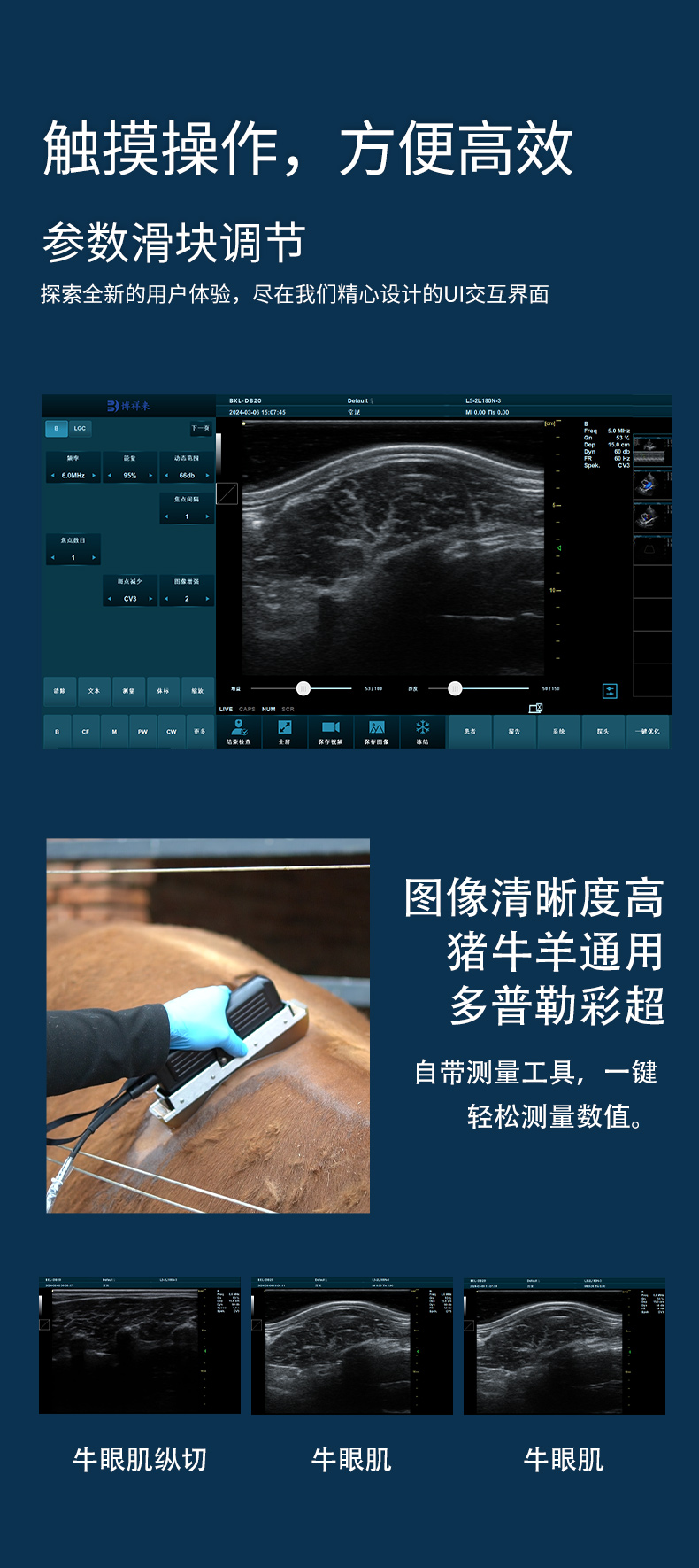 BXL-DB20-背标眼肌详情页_05.jpg