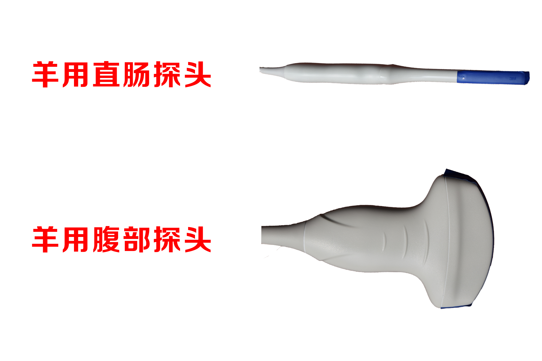 羊用超声探头