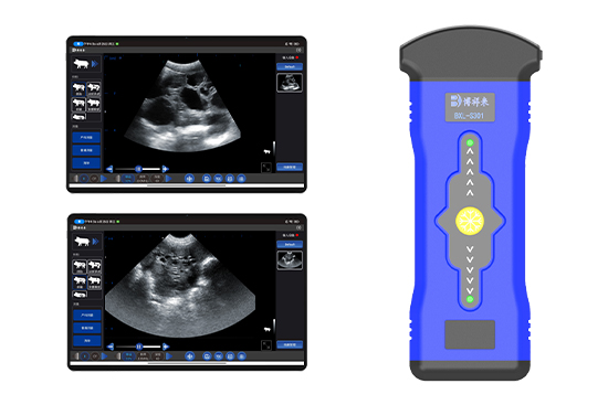 猪卵泡检测B超机 BXL-S301 猪用多普勒彩超机