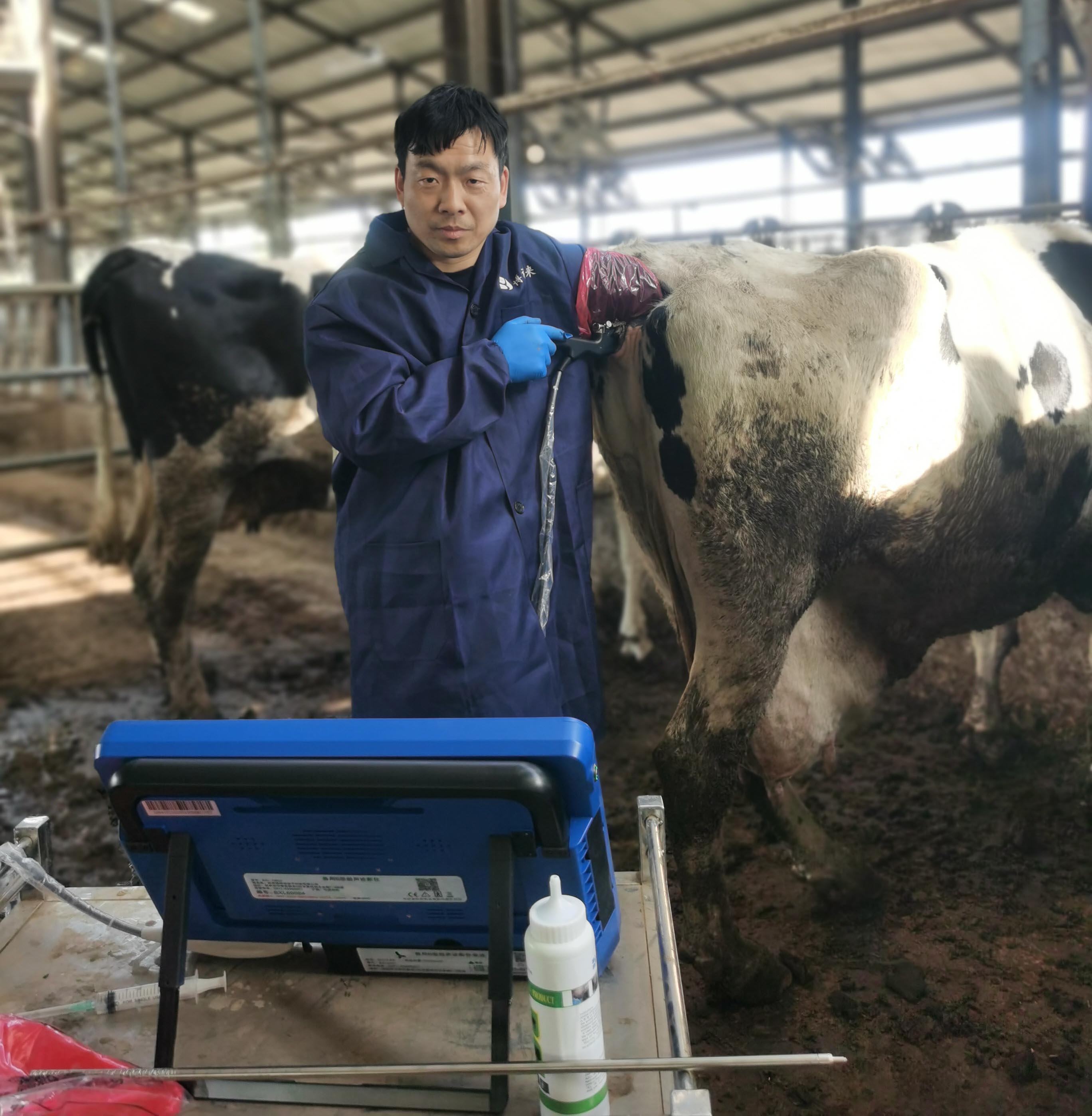 博祥来技术团队赴牛场开展 BXL-DB20 牛用活体采卵仪培训